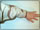 My Gallery: Image